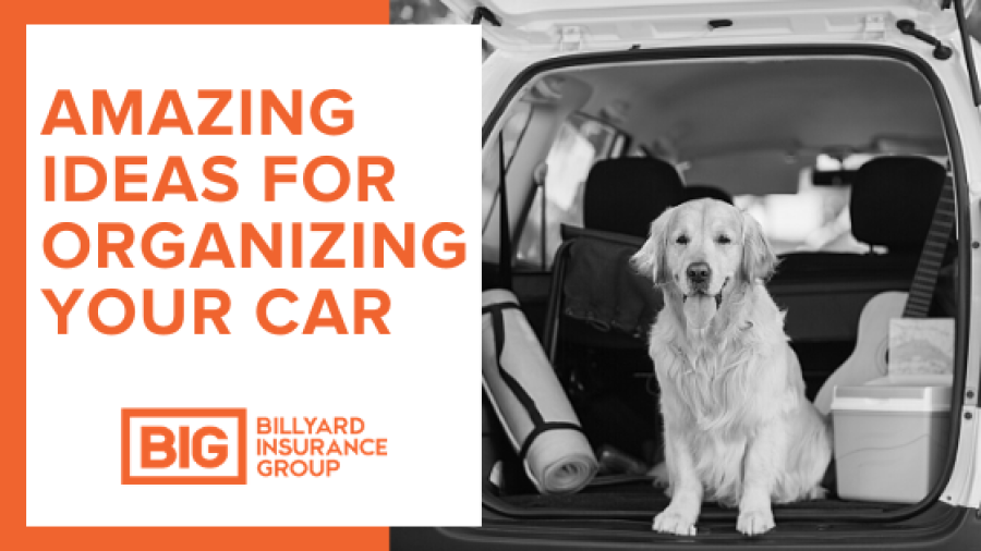 Car Organization Ideas