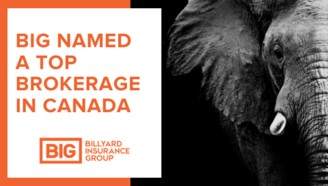Billyard Insurance Group | Top Insurance Brokerage in Canada | Black and White Elephant