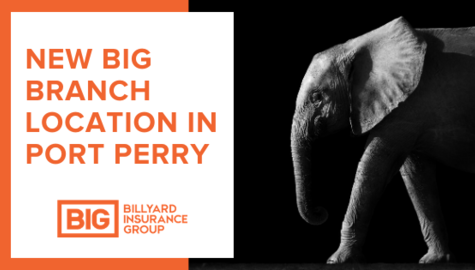 Billyard Insurance Group | New Branch in Port Perry Ontario | BIG Elephant