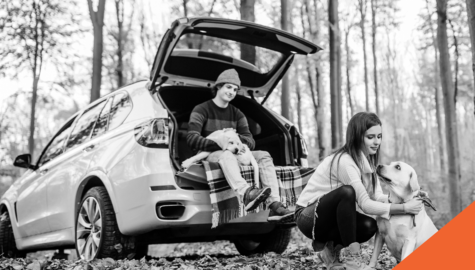 Couple camping in car with dog