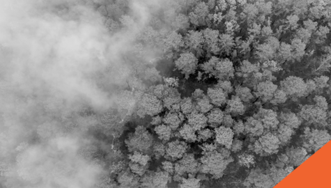 aerial view of a forest fire