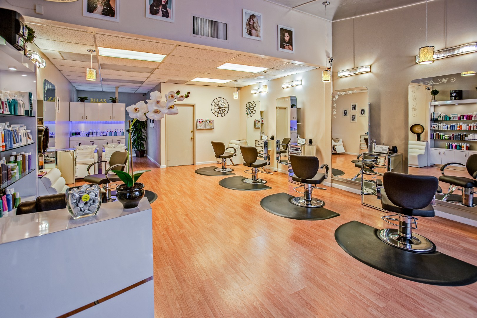Insurance for Hair Stylists - Black Salon Chairs