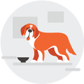 Get Pet Insurance Quotes for Free Icon Small